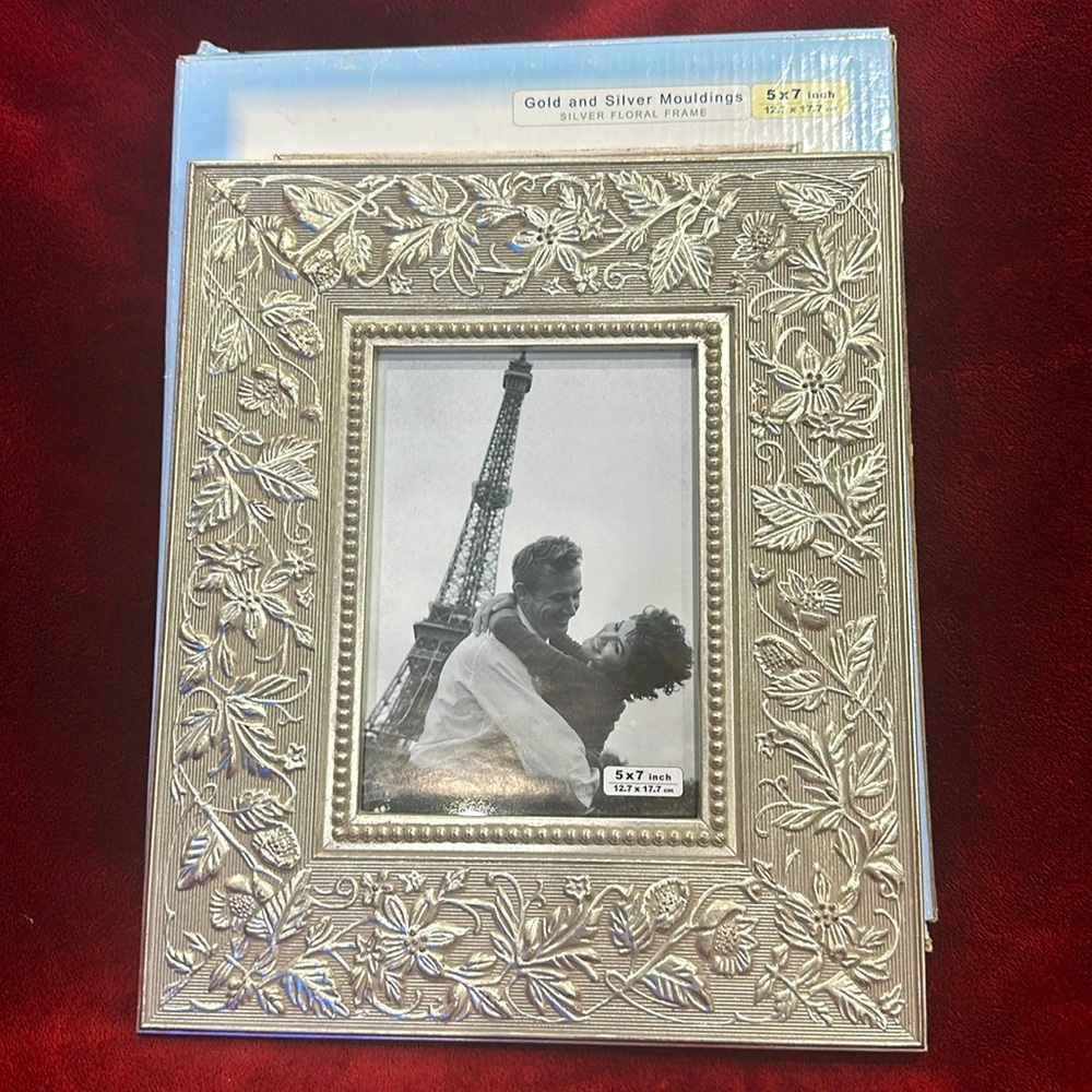 NWT Desktop/Wall Frame - silver moulding